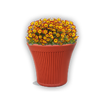 Flower Pot