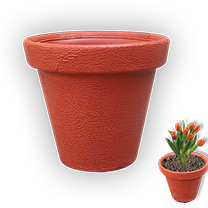 Flower Pot